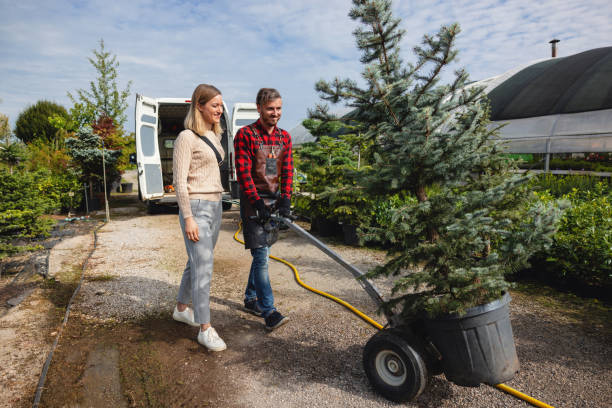 Best Emergency Storm Tree Removal  in USA